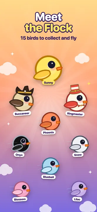 Meet the flock